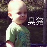 等着风儿眷顾