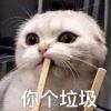 书友17960