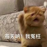 c失水的鱼GW