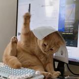 lllllll