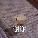 夕拾