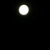 王浩帆