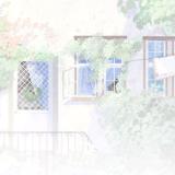 书友12554