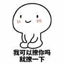 二皮脸2010