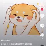 瑾年