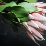 一群浪花