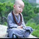 静养心俭养德