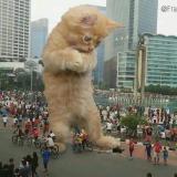 九子