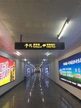 小土豆