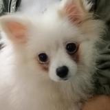 若瓷美人抬头勾魂