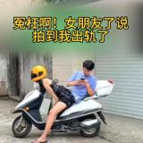 鲨瑞金