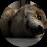 黑猫没有春天