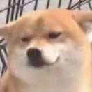 书友43162