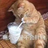 子非鱼