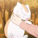 猫田°喂山风