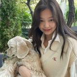 书友66119