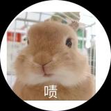 偷兔高手
