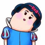 柴梳淋
