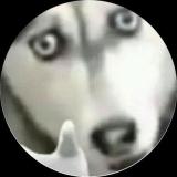 哲学三连
