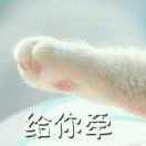 徐来