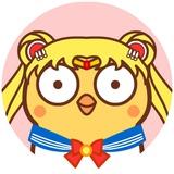 课后复习
