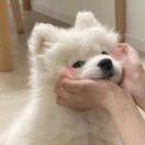 书友34734