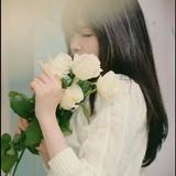 彩虹天堂