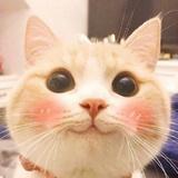 吃瓜群众?