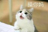 檑檬K