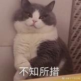 邓大勇