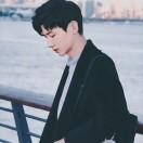 书友10131