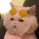 xqbbsyd