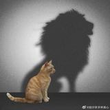 玩儿着看世界