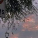 都是纸上谈兵