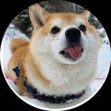 建国前一秒成精