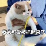 艾米絮小落