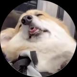 樑氚