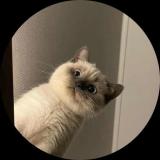 爱吃公仔的猫猫