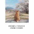 书友42560