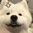 口袋里四元