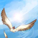 wuwao_1