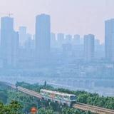 小仙姑