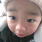 飞鸟与鱼