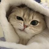 夸人一等