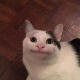 七友与四季