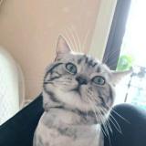 蓝颜么