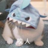 困困困困酱