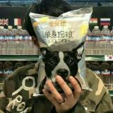 爱木的大佑