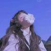 清凰