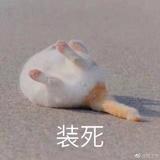 终极无业游民